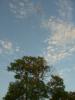 Bredon_200507/cimg0054.jpg