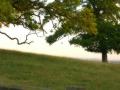 Bredon_200507/cimg0055.jpg