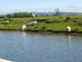 Bredon_200507/cimg0067.jpg