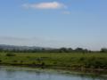 Bredon_200507/cimg0071.jpg