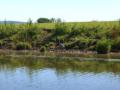 Bredon_200507/cimg0072.jpg