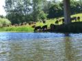 Bredon_200507/cimg0073.jpg