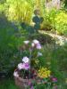 Bredon_200507/cimg0078.jpg