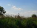 Bredon_200507/cimg0088.jpg