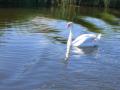 Bredon_200507/cimg0098.jpg