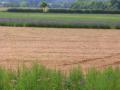 Bredon_200507/cimg0106.jpg