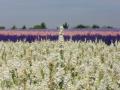 Bredon_200507/cimg0107.jpg