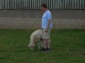 Bredon_200507/cimg0209.jpg