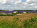 Bredon_200507/cimg0214.jpg