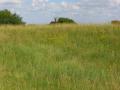 Bredon_200507/cimg0231.jpg