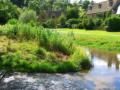 Bredon_200507/cimg0232.jpg