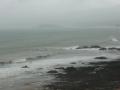 HopeCove_200511/cimg0247.jpg