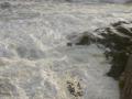 HopeCove_200511/cimg0255.jpg