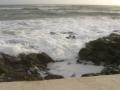 HopeCove_200511/cimg0256.jpg