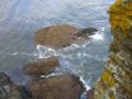 HopeCove_200511/cimg0270.jpg