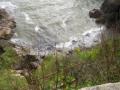 HopeCove_200511/cimg0276.jpg