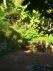 HopeCove_200511/cimg0285.jpg