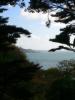 HopeCove_200511/cimg0288.jpg