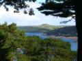 HopeCove_200511/cimg0290.jpg