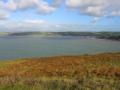 HopeCove_200511/cimg0310.jpg