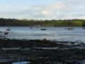 HopeCove_200511/cimg0324.jpg